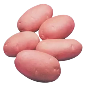 Lal Alu (Red Potato Cardinal) ± 50 gm 1 kg